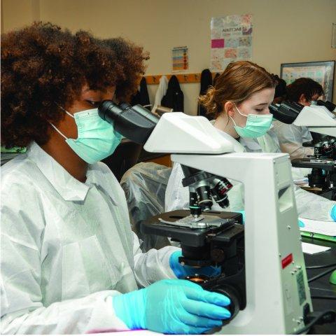 健康科学实验室. 学生们通过显微镜观察.